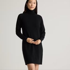 Mongolian Cashmere Turtleneck Sweater Dress
